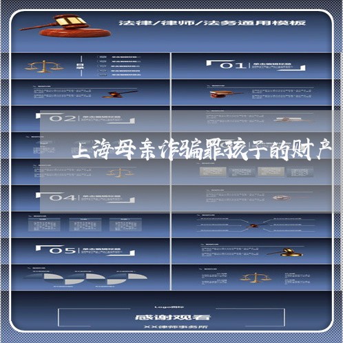 上海母亲诈骗罪孩子的财产/2023032318469 上海母亲诈骗罪孩子的财产/2023032318469