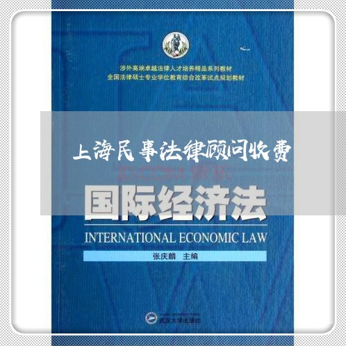 上海民事法律顾问收费/2023061749350
