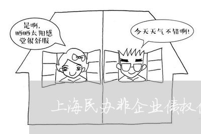 上海民办非企业债权债务说明/2023032515835