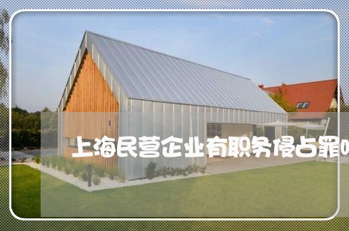上海民营企业有职务侵占罪吗/2023032559469 上海民营企业有职务侵占罪吗/2023032559469