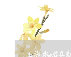 上海水城县新街乡开设赌场案/2023032560491