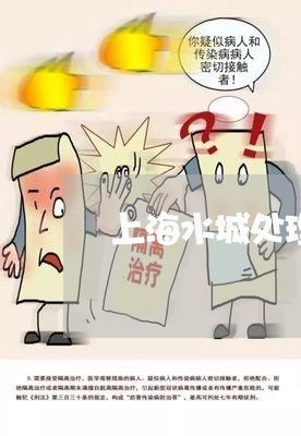 上海水城处理刑事案件律师/2023032333826 上海水城处理刑事案件律师/2023032333826