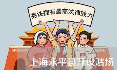 上海永平县开设赌场/2023032694735 上海永平县开设赌场/2023032694735