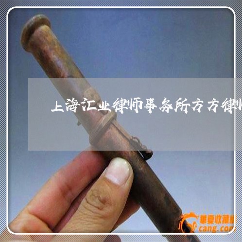 上海汇业律师事务所方方律师/2023032517036