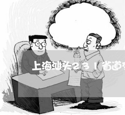 上海汕头231省道交通事故/2023032570702