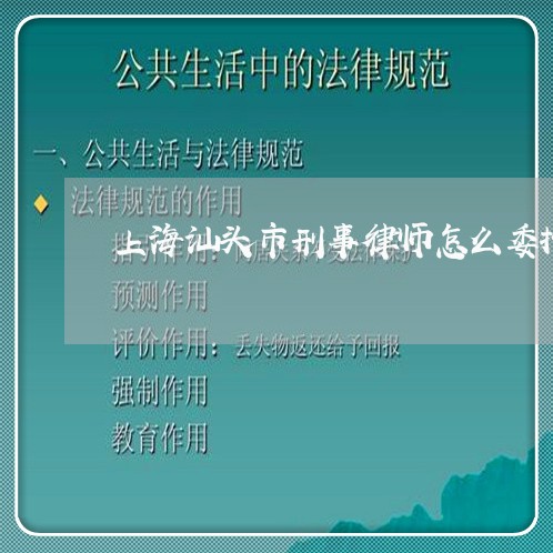 上海汕头市刑事律师怎么委托/2023032561816