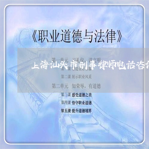 上海汕头市刑事律师电话咨询/2023032530493