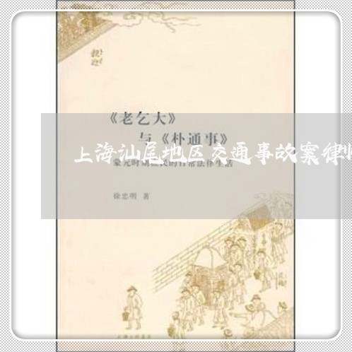 上海汕尾地区交通事故案律师/2023032528140 上海汕尾地区交通事故案律师/2023032528140