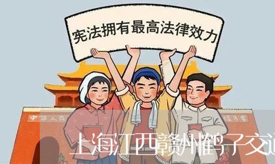 上海江西赣州鹤子交通事故/2023032313279
