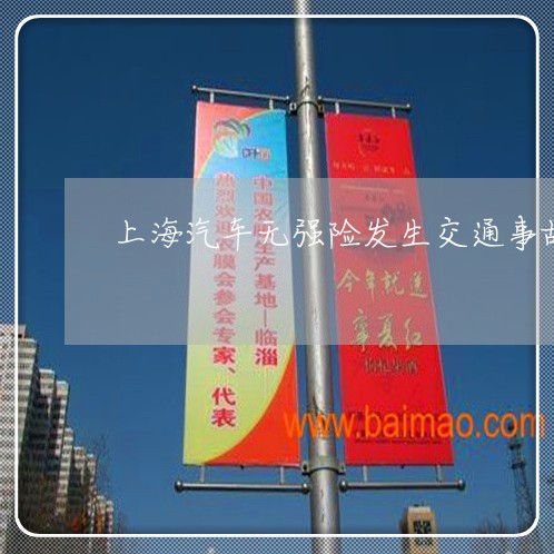 上海汽车无强险发生交通事故/2023032508471 上海汽车无强险发生交通事故/2023032508471