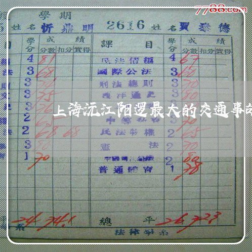 上海沅江阳逻最大的交通事故/2023032593624