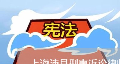 上海沛县刑事诉讼律师哪个好/2023032584825