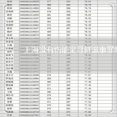 上海没有伤能定寻衅滋事罪吗/2023032550501