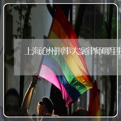 上海沧州刑事大案律师哪里找/2023032539380