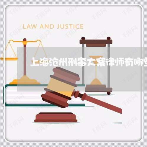 上海沧州刑事大案律师有哪些/2023032528360
