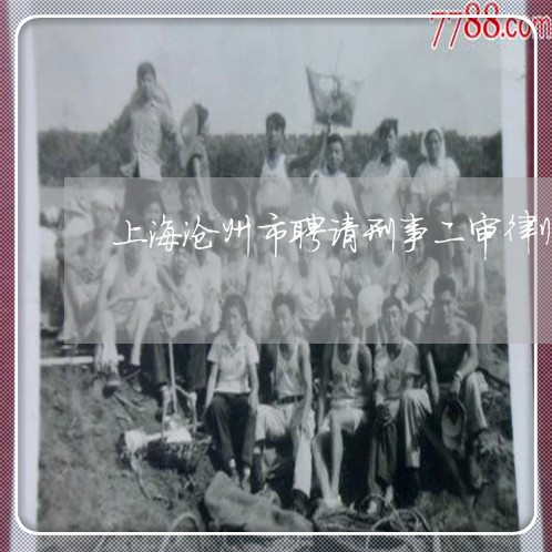 上海沧州市聘请刑事二审律师/2023032550481
