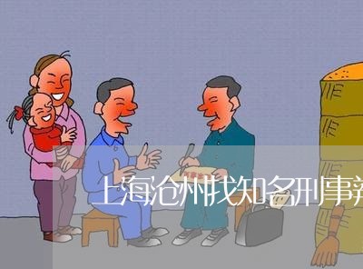 上海沧州找知名刑事辩护律师/2023032571714