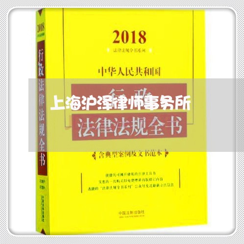 上海沪泽律师事务所/2023032684646