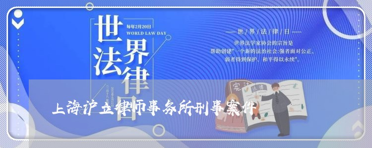 上海沪立律师事务所刑事案件/2023032548360 上海沪立律师事务所刑事案件/2023032548360