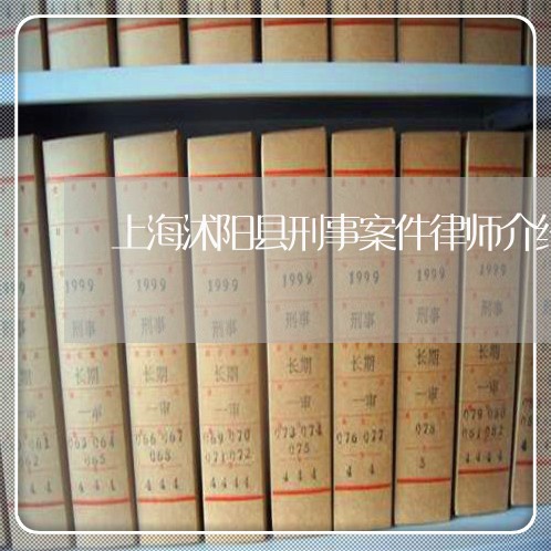 上海沭阳县刑事案件律师介绍/2023032524047