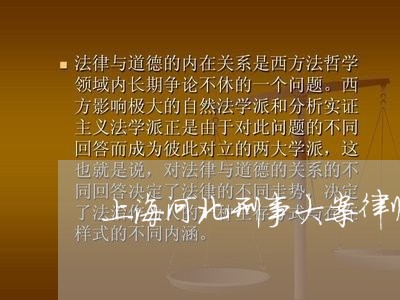 上海河北刑事大案律师事务所/2023032569562 上海河北刑事大案律师事务所/2023032569562