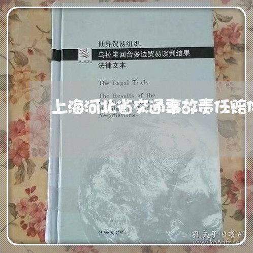 上海河北省交通事故责任赔偿/2023032594847