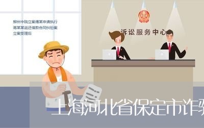 上海河北省保定市诈骗罪数额/2023032572592 上海河北省保定市诈骗罪数额/2023032572592