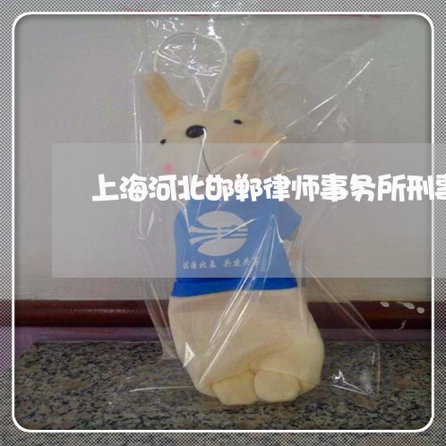 上海河北邯郸律师事务所刑事/2023032559370