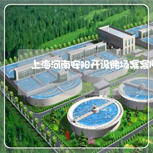 上海河南安阳开设赌场案案例/2023032540593