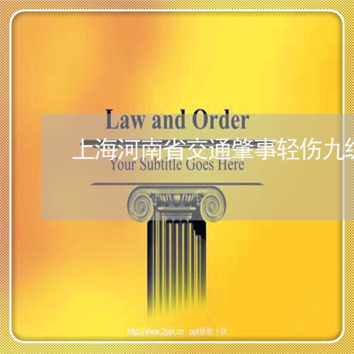 上海河南省交通肇事轻伤九级/2023032537159