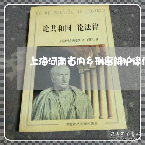 上海河南省内乡刑事辩护律师/2023032584827