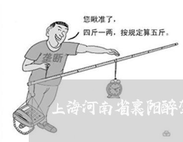 上海河南省襄阳醉驾交通事故/2023032503793 上海河南省襄阳醉驾交通事故/2023032503793