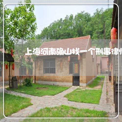 上海河南确山找一个刑事律师/2023032537959