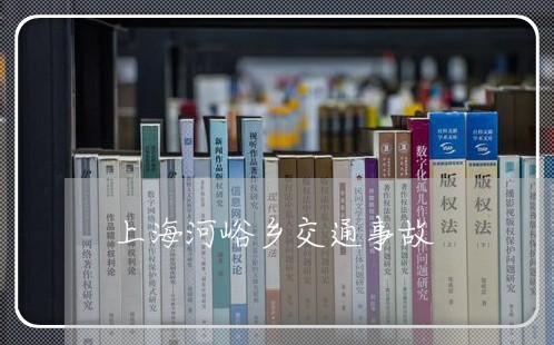上海河峪乡交通事故/2023032661593 上海河峪乡交通事故/2023032661593