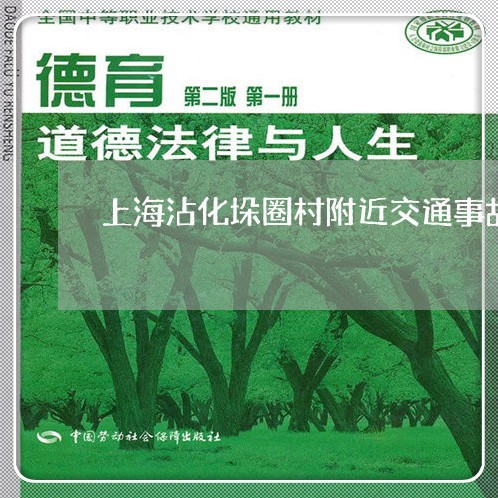 上海沾化垛圈村附近交通事故/2023032599614