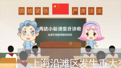 上海沿滩区发生重大交通事故/2023032503804 上海沿滩区发生重大交通事故/2023032503804
