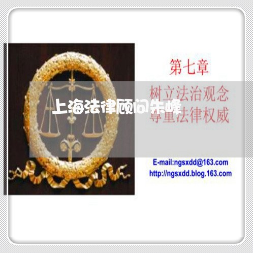 上海法律顾问朱峰 上海法律顾问朱峰