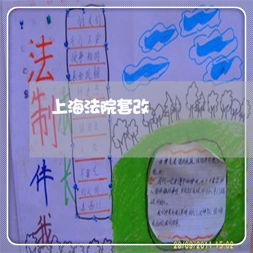上海法院套改