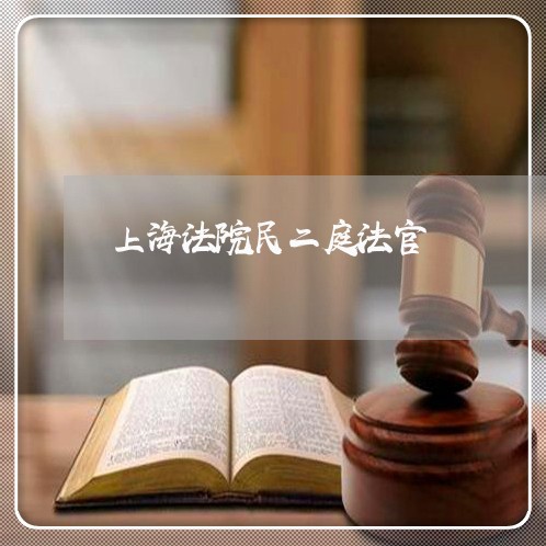 上海法院民二庭法官
