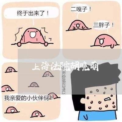 上海法院胡晓萌