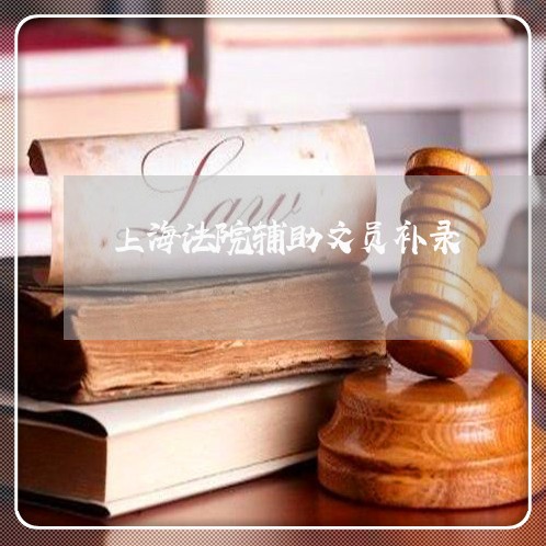 上海法院辅助文员补录