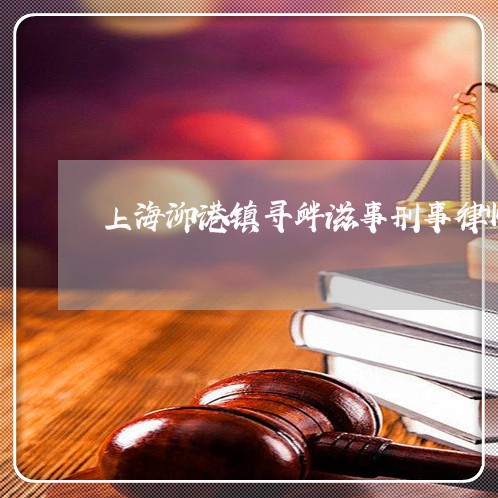 上海泖港镇寻衅滋事刑事律师/2023032573714
