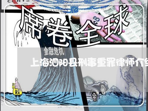 上海泗阳县刑事重罪律师介绍/2023032594723