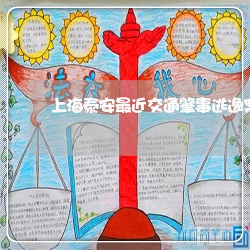 上海泰安最近交通肇事逃逸案/2023032541415