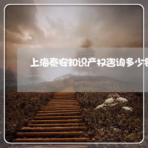 上海泰安知识产权咨询多少钱/2023032560560