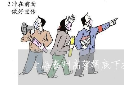 上海泰州高架桥底下交通事故/2023032565948