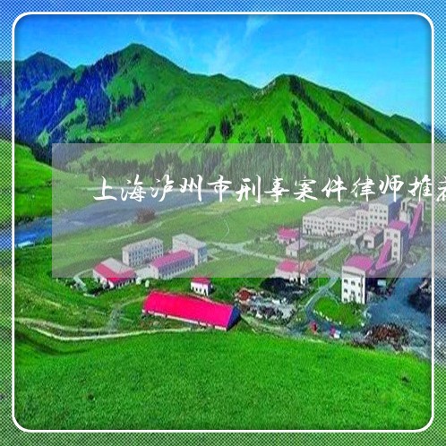 上海泸州市刑事案件律师推荐/2023032642602