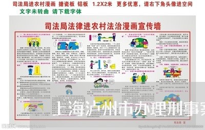上海泸州市办理刑事案件律师/2023032602705