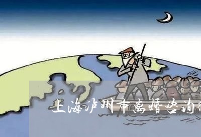 上海泸州市离婚咨询律师团队/2023032661614