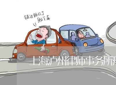 上海泸州律师事务所刑事律师/2023032636247 上海泸州律师事务所刑事律师/2023032636247